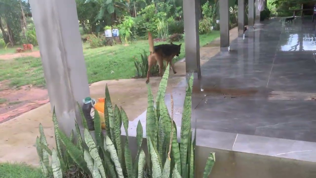 Mostrando as benefeiturias do meu sítio .