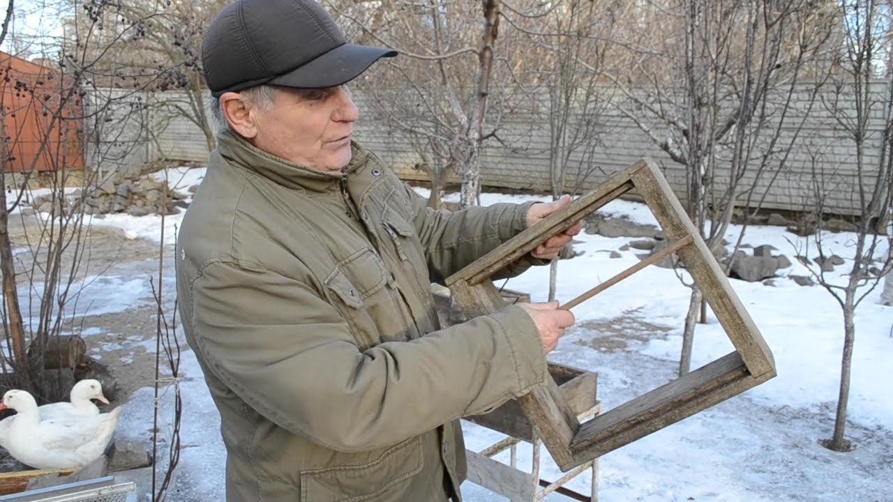 Пчелиный улей профессора биологии Роже Делона