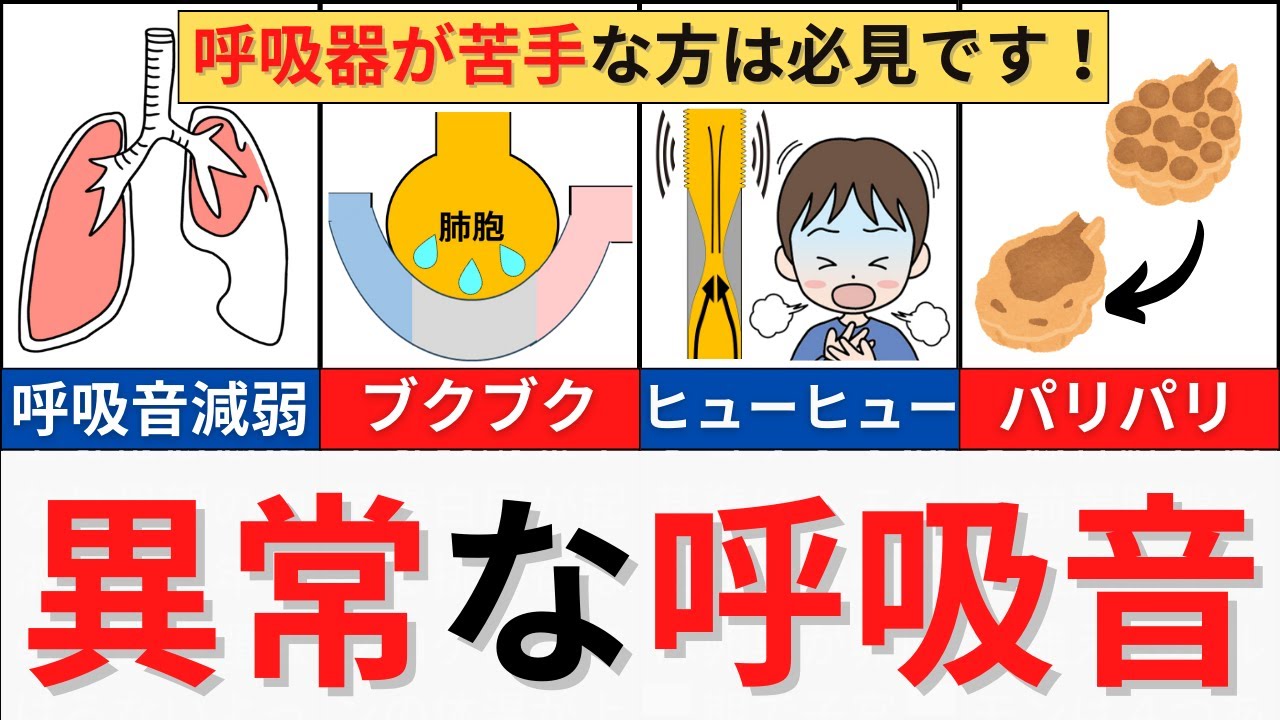 【20分で解説、30分で国試問題】呼吸音について解説