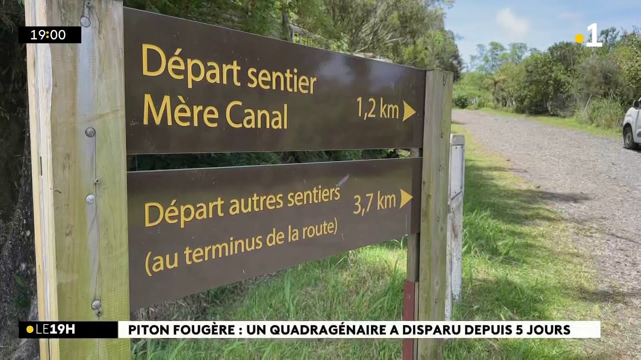 Disparition à Piton Fougère : après 5 jours de recherches, Nicolas Aulézy reste introuvable