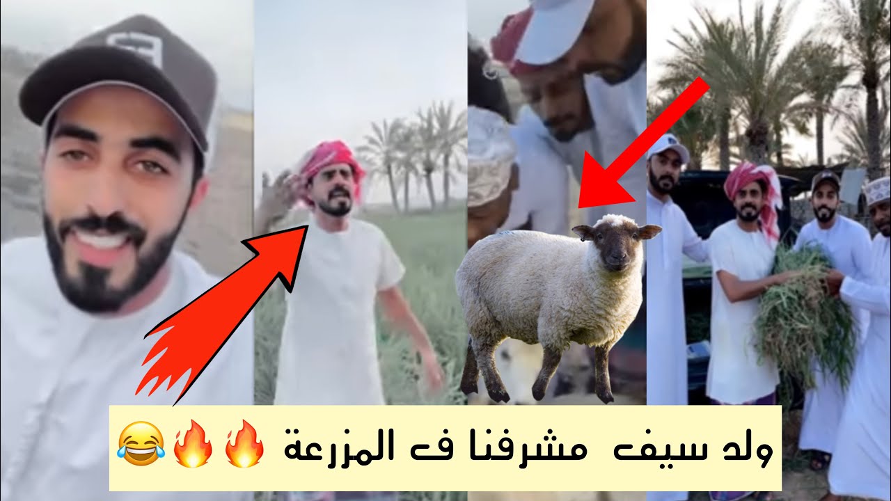 ولد سيف مشرفنا المزرعه 😂🤣