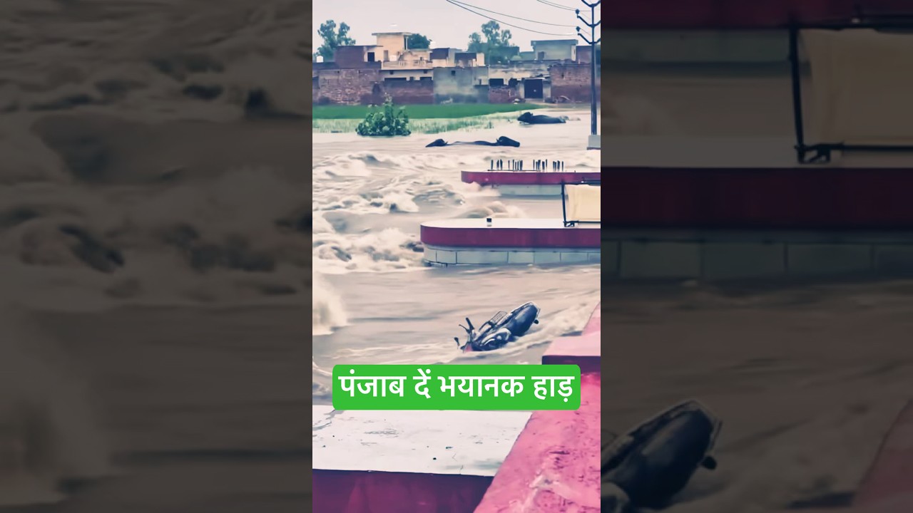 Punjab Diya Bhyanak Badha | Punjab De Hadh | Punjab Village Flood | #shorts #youtubeshorts #viral