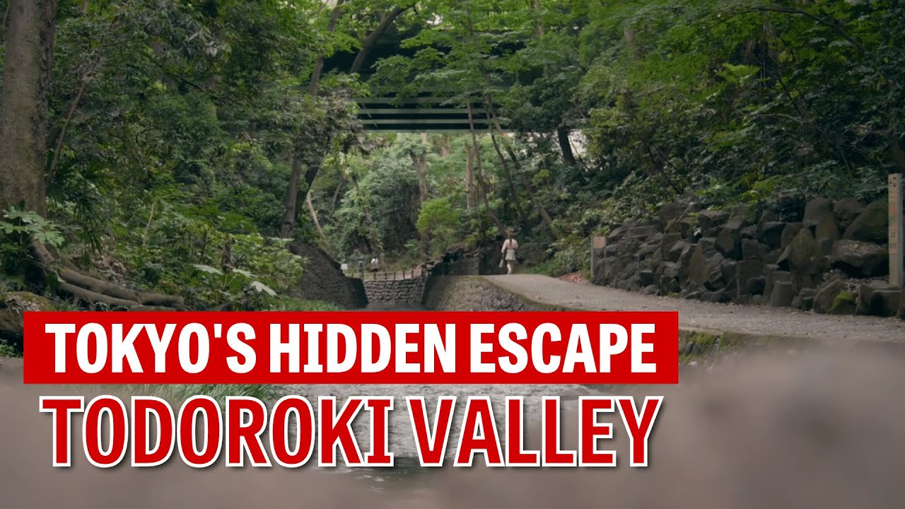 Todoroki Valley—Tokyo's hidden escape