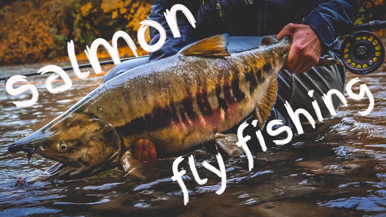 Salmon & Steelhead Fly Fishing on Vancouver Island, British Columbia