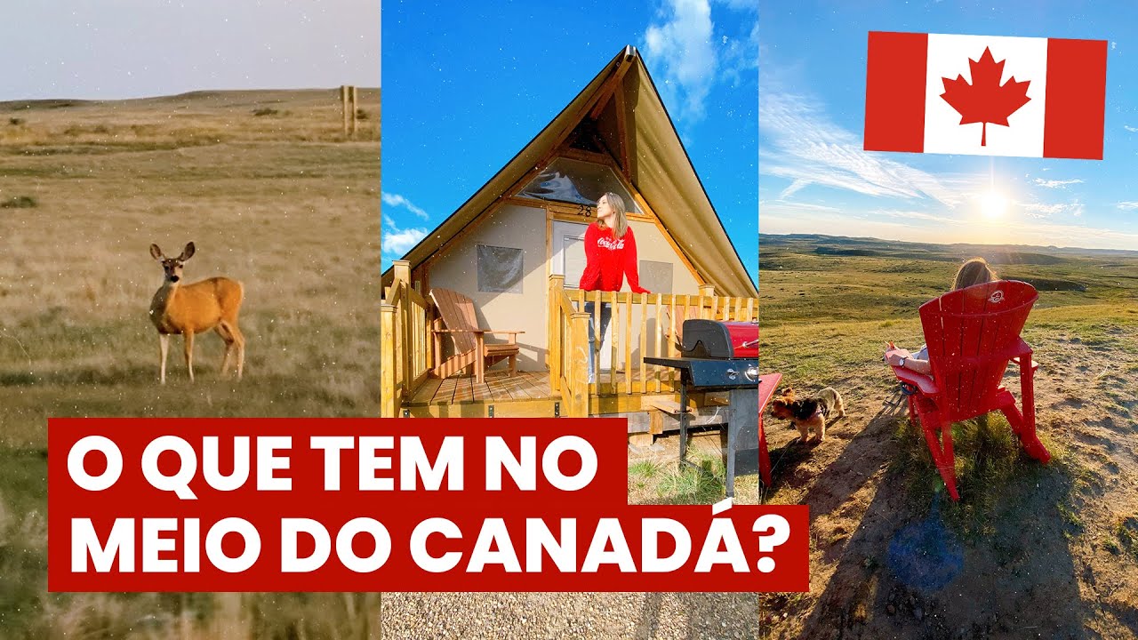 AVENTURA!🦌Lugar mais remoto que fui no Canadá! Cabana em Saskatchewan, animais selvagens e mais