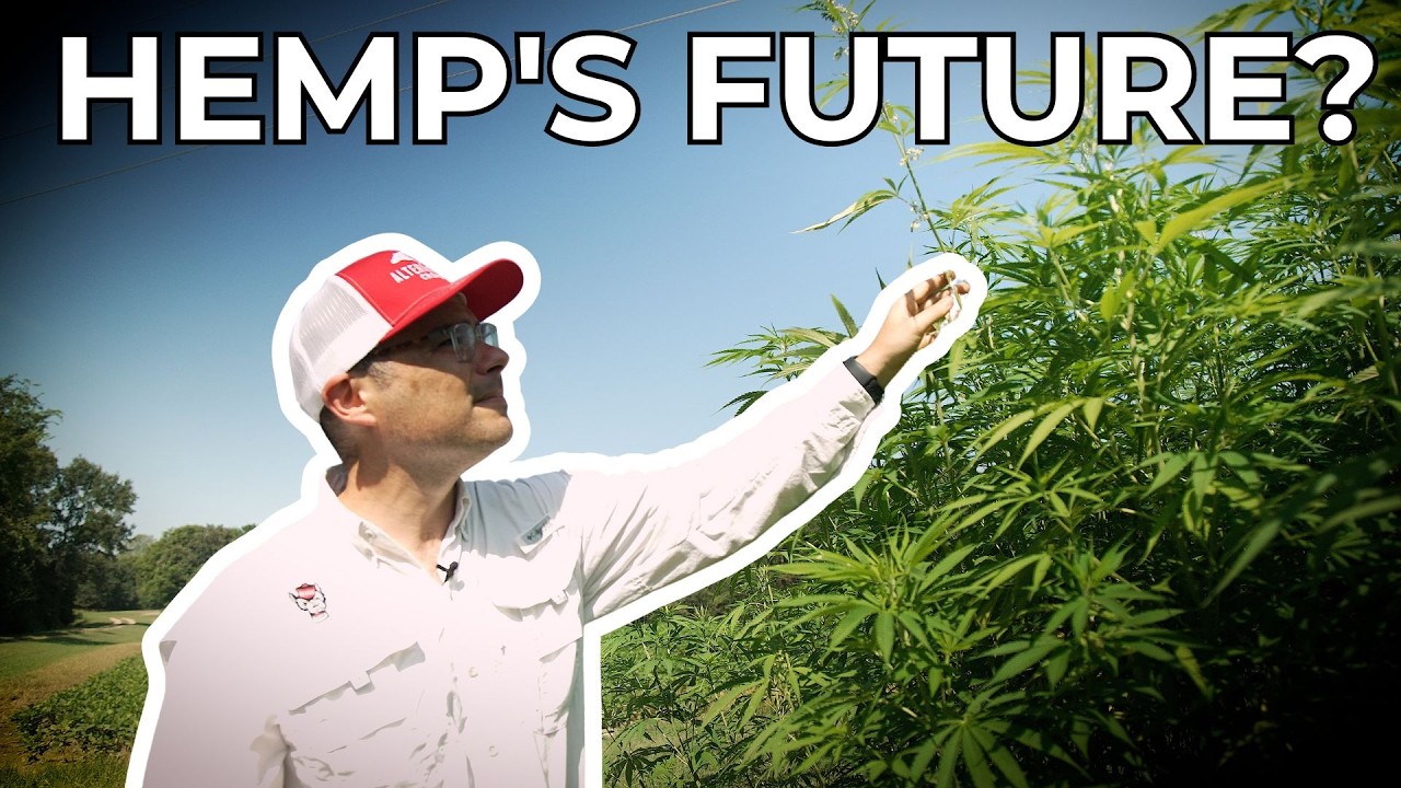 North Carolina's hemp bubble burst. Now what? | State Lines Special