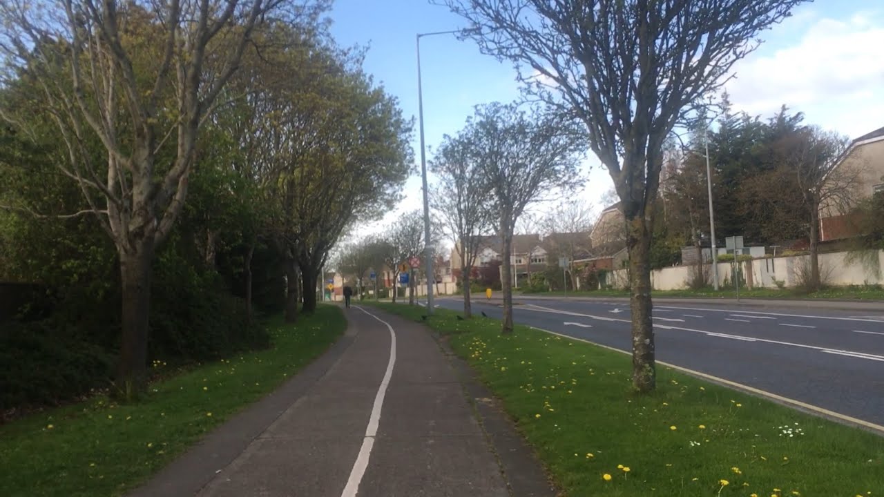 Stillorgan to Stillorgan Shopping Centre Walking Tour Dublin Ireland #beautiful flowers on the grass