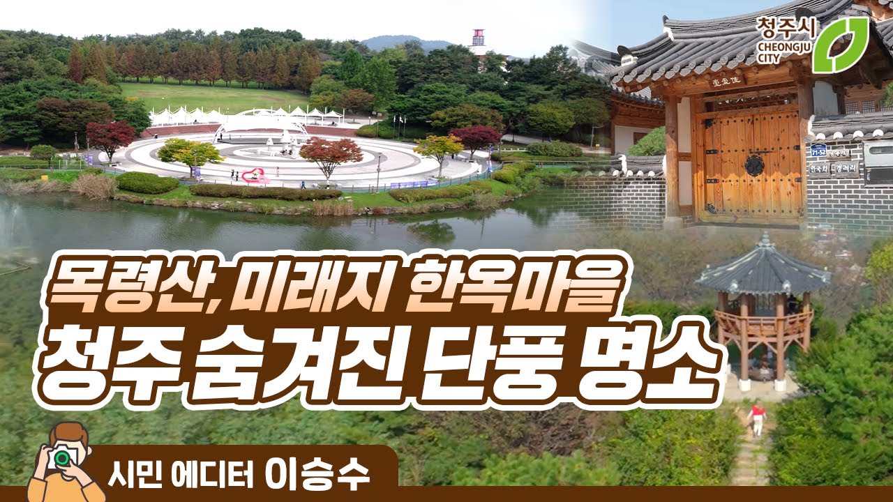 꿀잼청주 가볼만한 곳 가을이 물든 지금이 더 예쁘다 여기가 그렇다