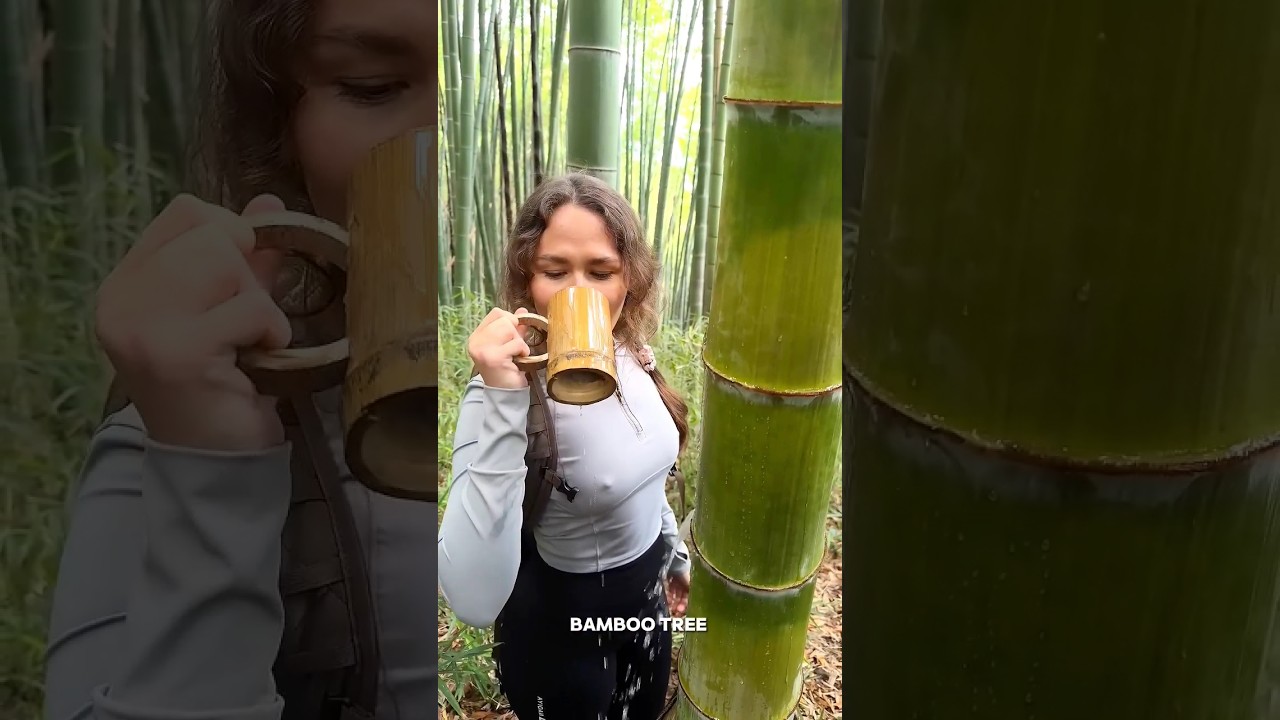 Bamboo Tree Water Is Safe ?