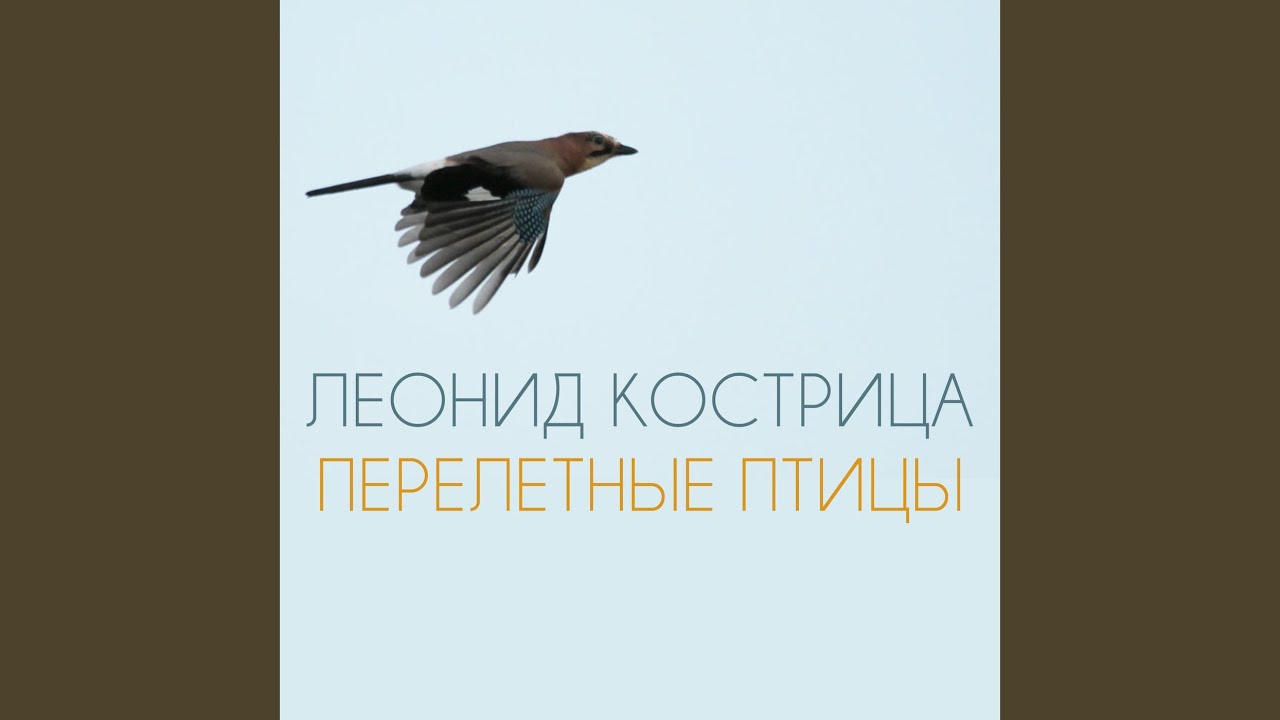 Перелетные Птицы
