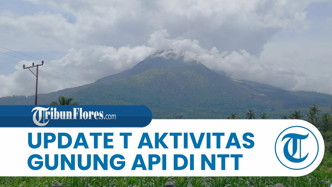 Update Tingkat Aktivitas Gunung Api di NTT: 2 Siaga, 2 Waspada dan 13 Normal