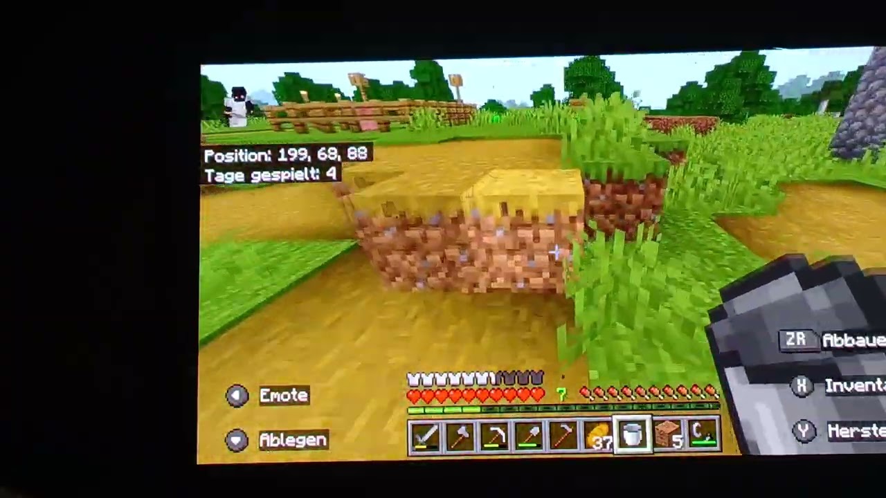Die Minecraft Serie#3