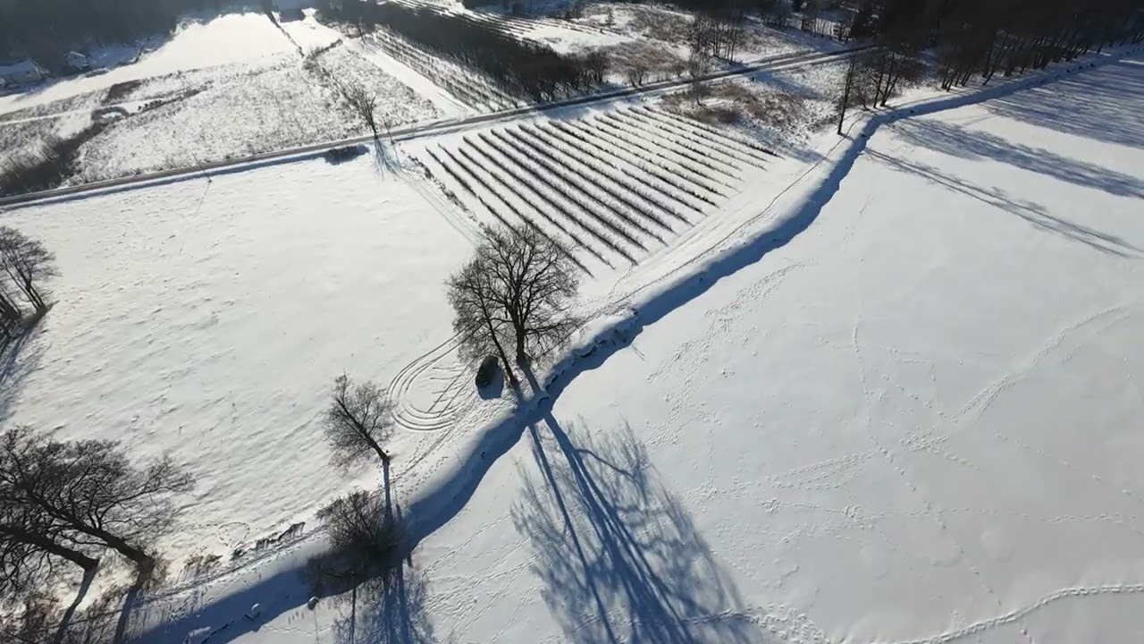 AVATA2 Grojec , #avata2 #dji #djidrone#drone #avata2 #дрон 