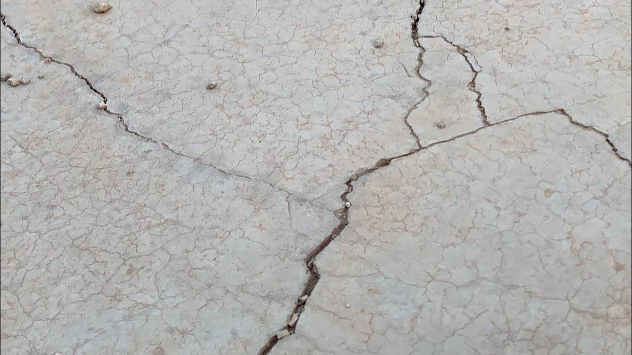 العمال نكبوه في البيت