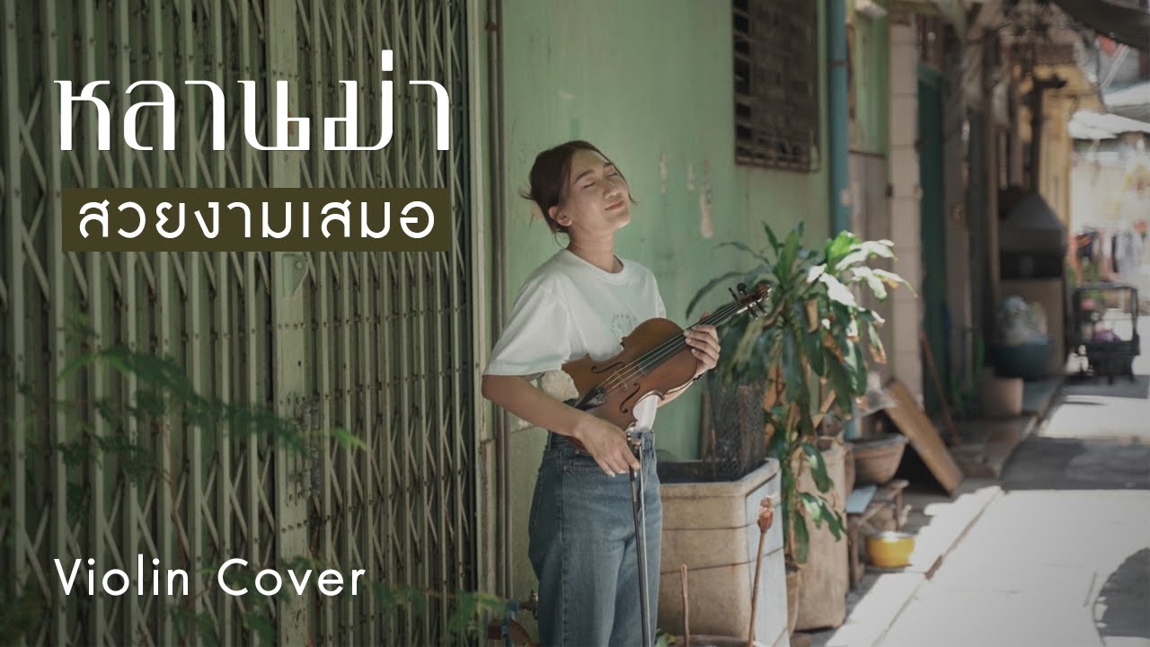 สวยงามเสมอ (Ever-Forever) - Billkin | Violin Cover