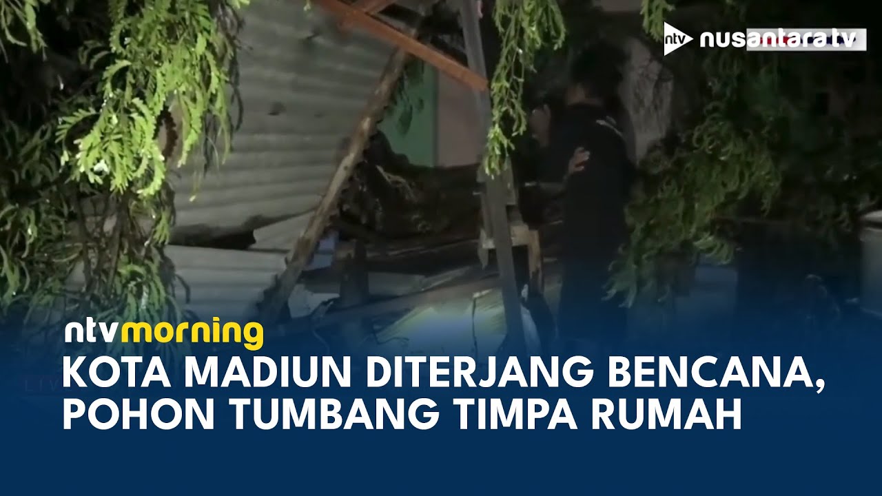 Hujan Deras dan Angin Kencang Terjang Kota Madiun, Pohon Tumbang Timpa Rumah Warga | NTV MORNING