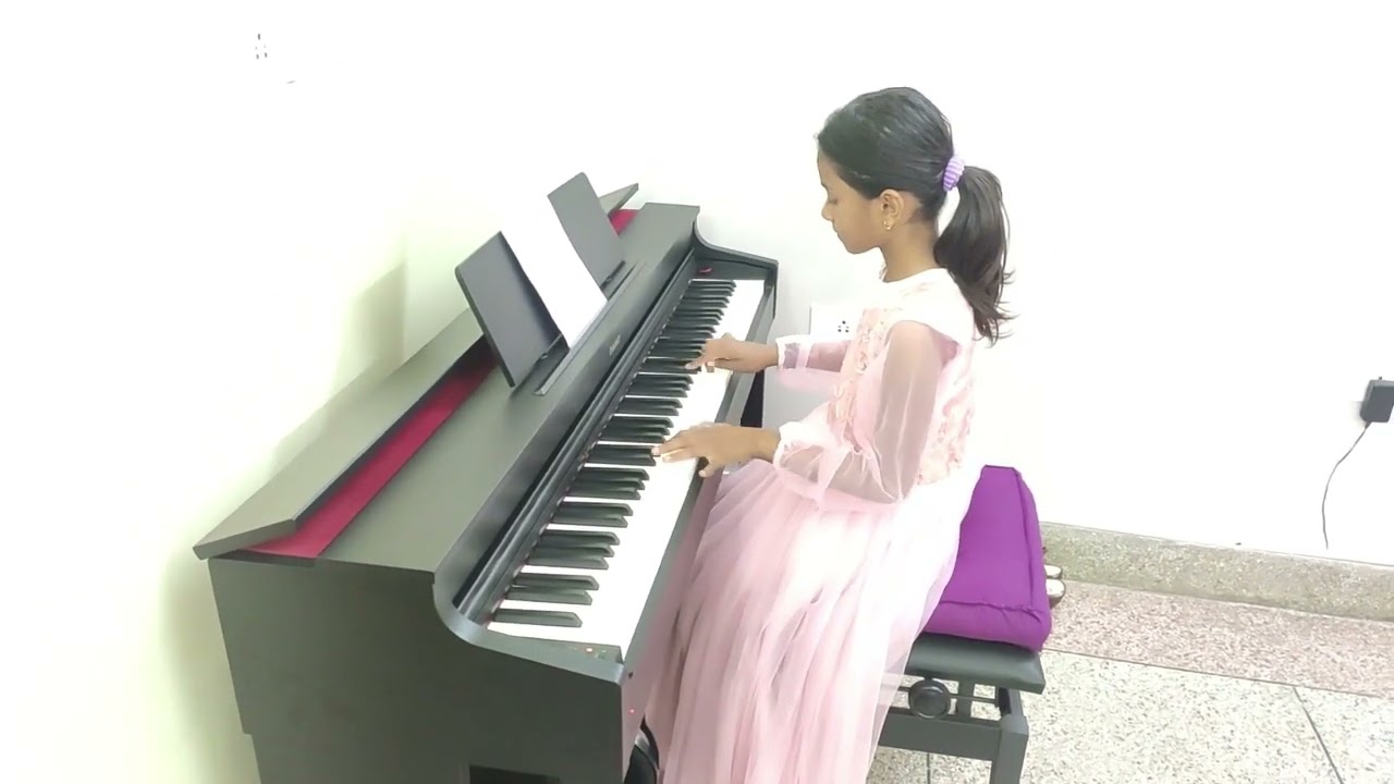 Canon in D || Casio AP-470 || PianistGanga