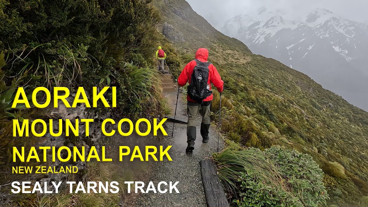 Stairway to Heaven on a Rainy Day, Mt Cook National Park, Sealy Tarns Track, NZ