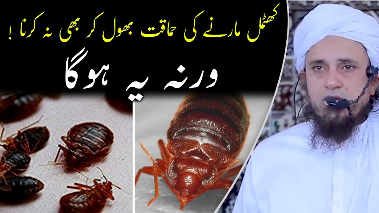 khatmal Marne Ka Sahi tarika | Mufti Tariq Masood | @IslamicYouTube2