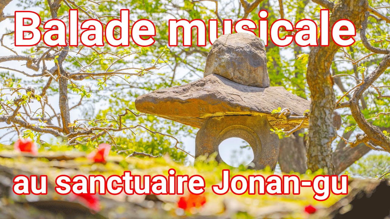 Une balade au sanctuaire de Jonan-Gu à Kyoto (城南宮)