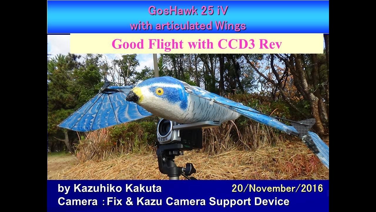 GosHawk25iV with articulated wing : Good Flight with Flight controller CCD3 Revolution and GPS