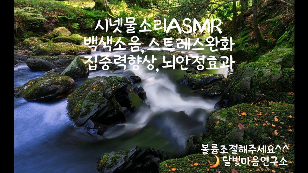 공부할때틀어두세요 ㅣ시넷물소리ㅣASMRㅣ백색소음ㅣ스트레스완화ㅣ집중력향상ㅣ명상
