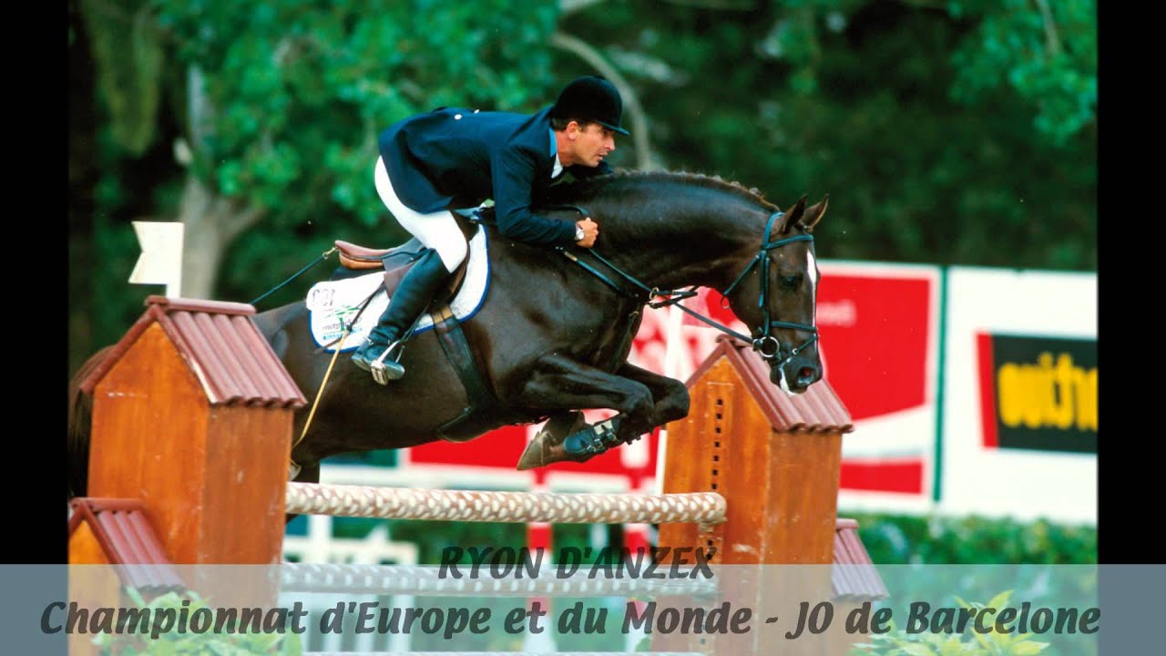 Vidéo présentation Syndicat des Eleveurs d'Anglo-Arabes et de Chevaux de Sport de Lot-et-Garonne