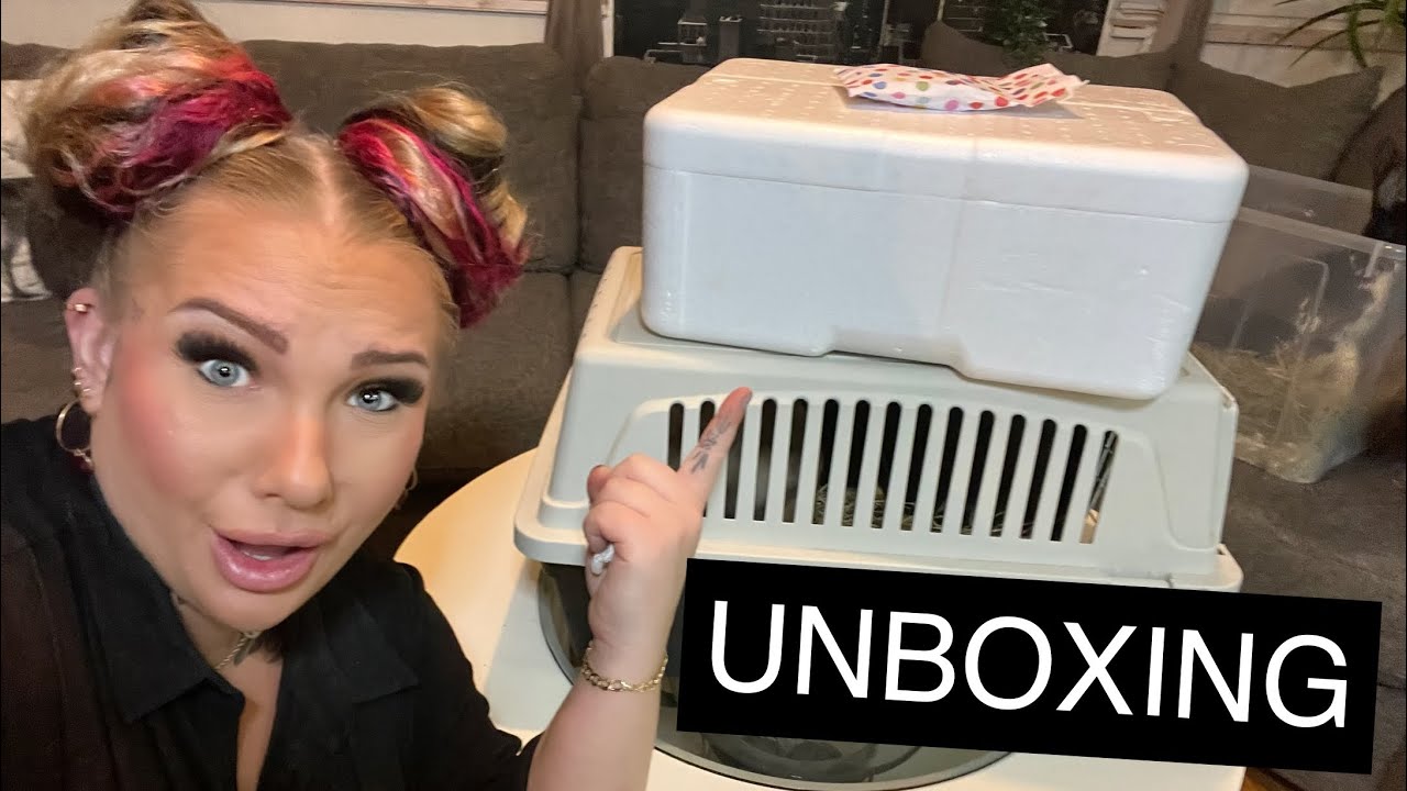UNBOXAR OLIKA DJUR