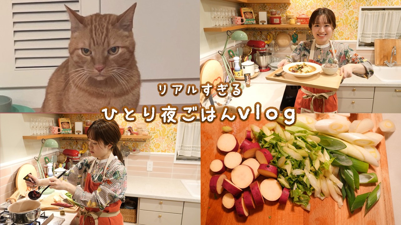 【がんばらない】一品で満足！リアルひとり夜ごはんVlog🌙
