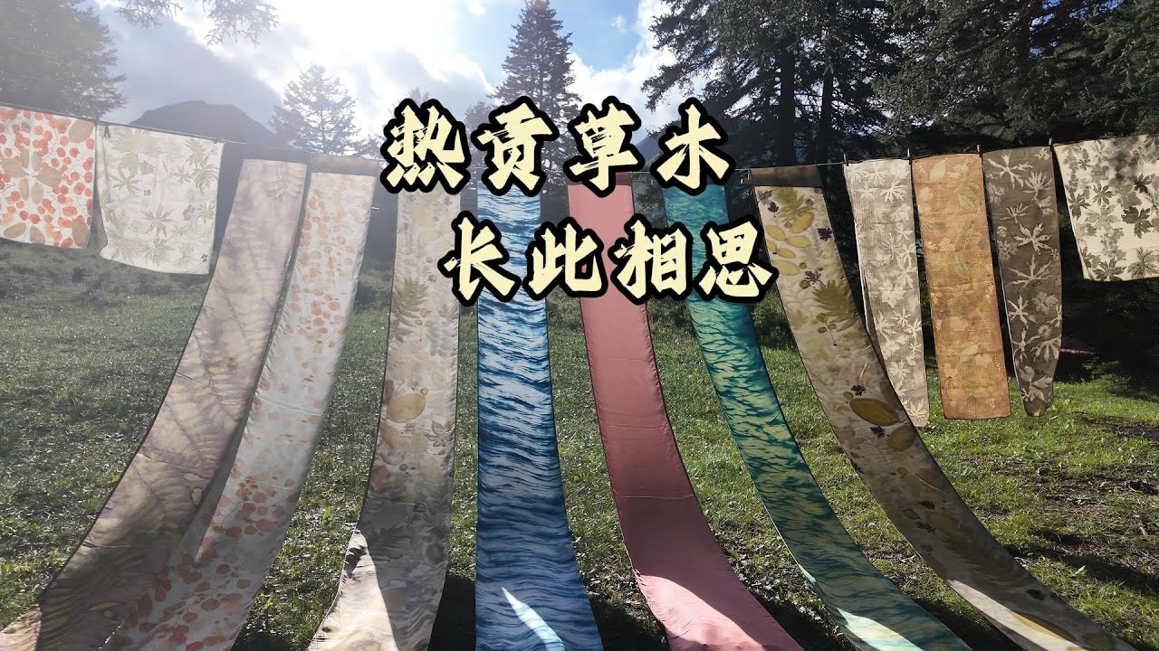 在地的草木染项目研究，是连接生态、传统与当代审美的路径之一，本视频以热贡地区的草木染研究为案例。