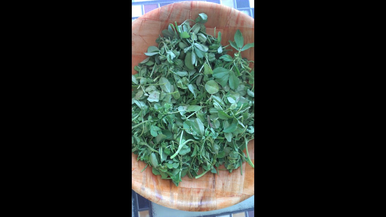 How to keep Fenugreek Leaves (Methi Bhaji) fresh in refrigerator