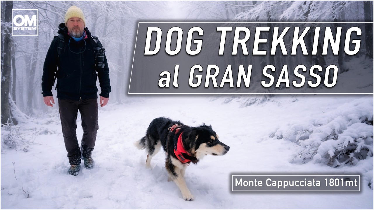 GRAN SASSO: Dog Trekking Invernale al Monte Cappucciata con il piccolo Guinness