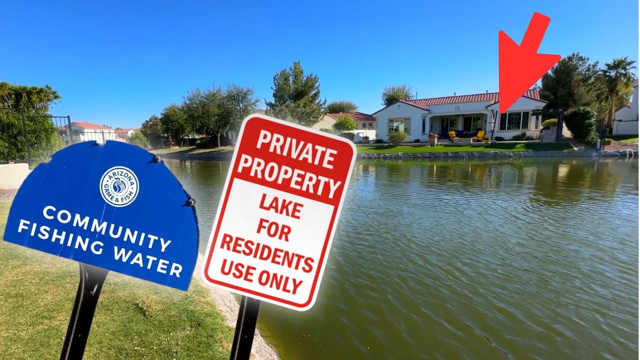 Everything You Need to Know About Pond Fishing in Arizona