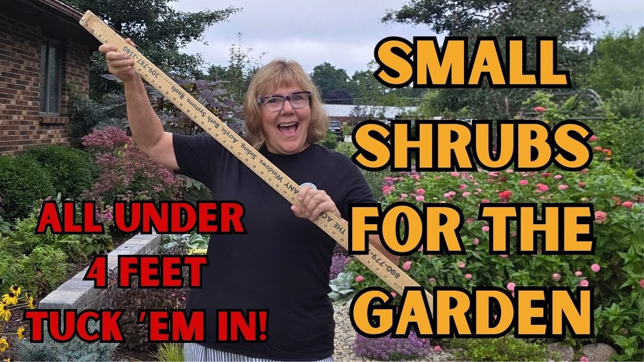 Small Shrubs to Tuck into the Garden