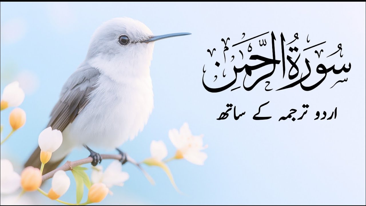 Surah Rahman With Urdu Translation full Qari Al Sheikh Abdul Basit Abdul Samad ❤️❤️
