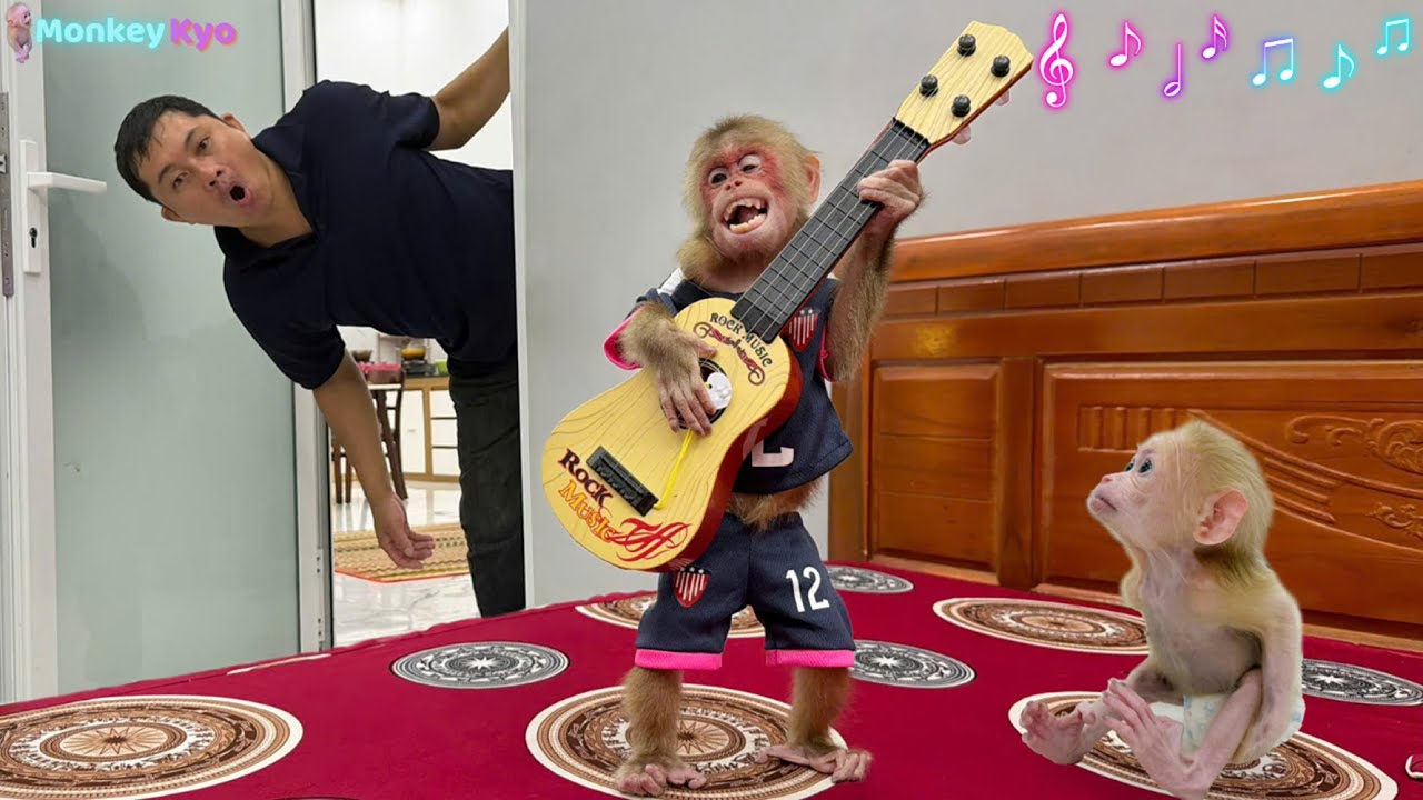 Monkey Kyo reacts hilariously when Dad gives her a guitar — Baby BuNa is surprised!