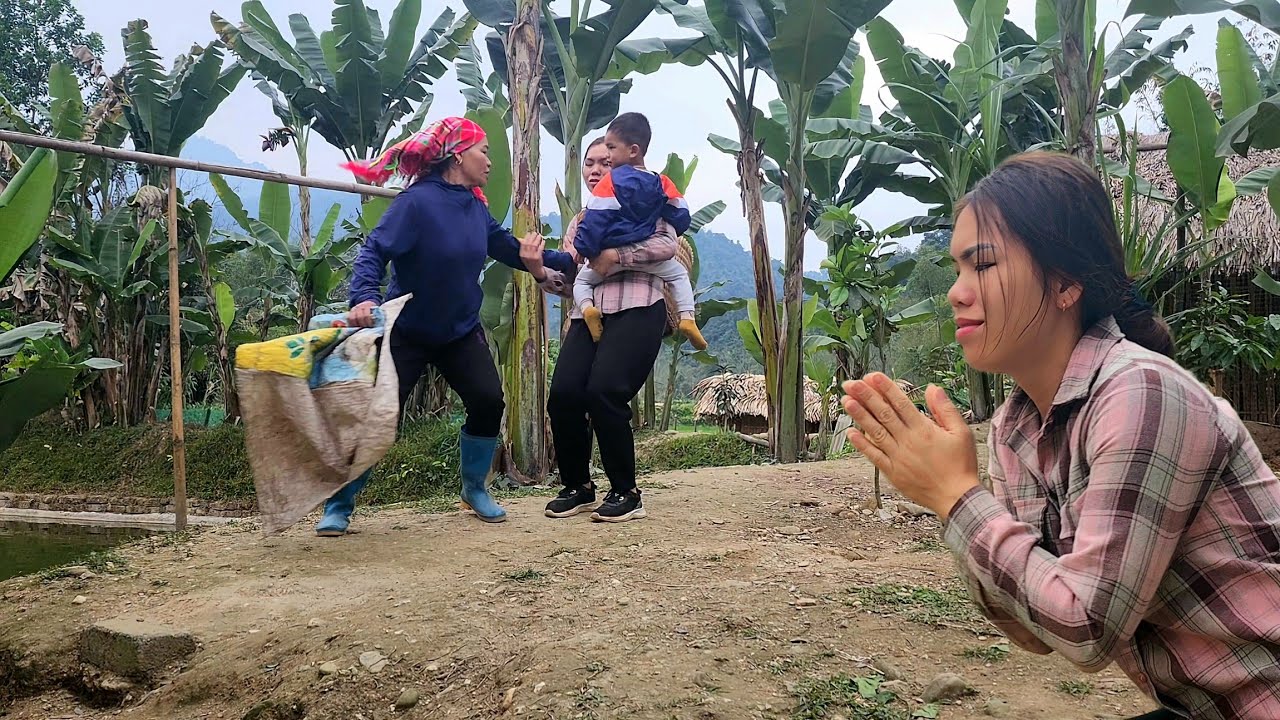 Completed Bamboo Roof - Harvesting Orange Garden Goes to the market sell