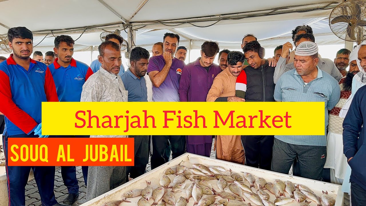 Sharjah Fresh Fish Market | Best Deals on Fisheries 