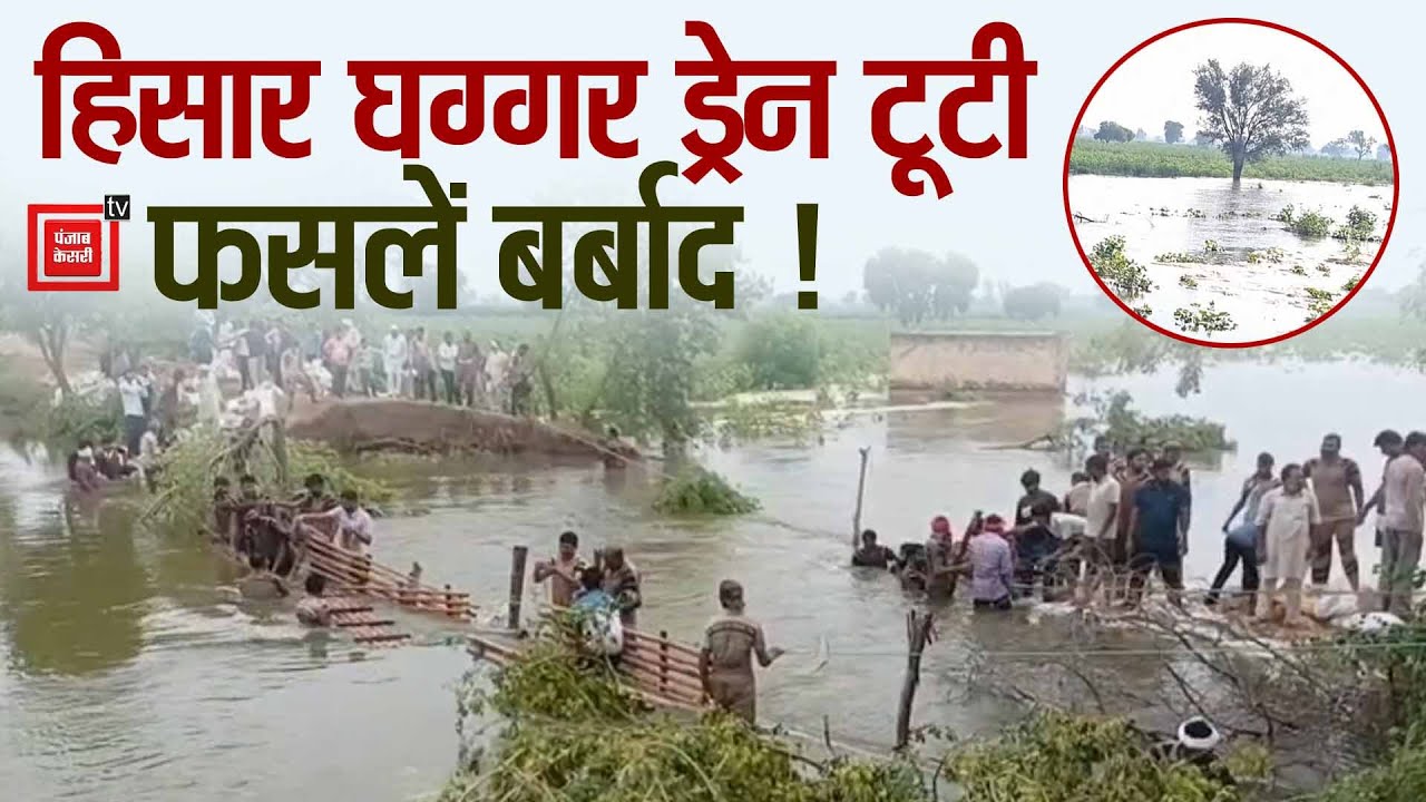 Sirsa में हिसार घग्गर ड्रेन टूटी,कई गांवों में घुसा पानी, डेरा सच्चा सौदा ने संभाला मोर्चा
