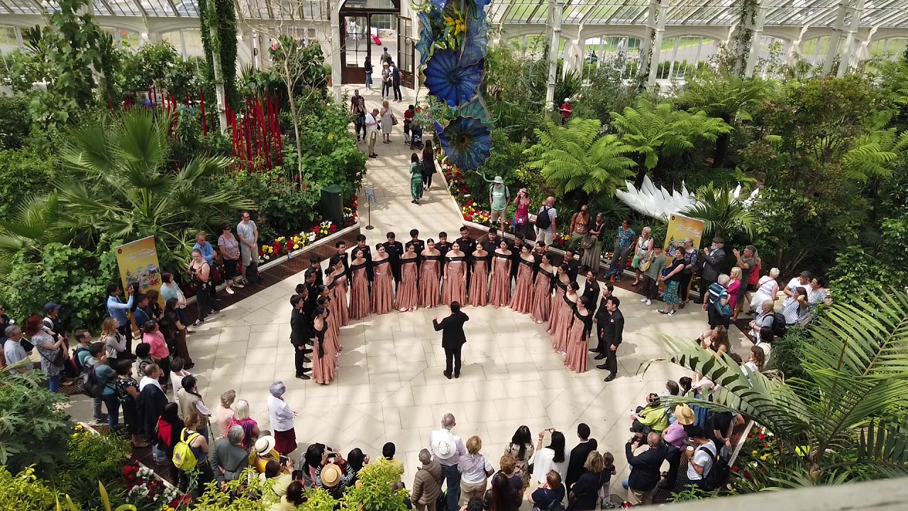 บุพเพสันนิวาส  (Bupphe sanniwat) by Suanplu Chorus สวนพลูคอรัส (Kew Royal Bonatic Garden, London)