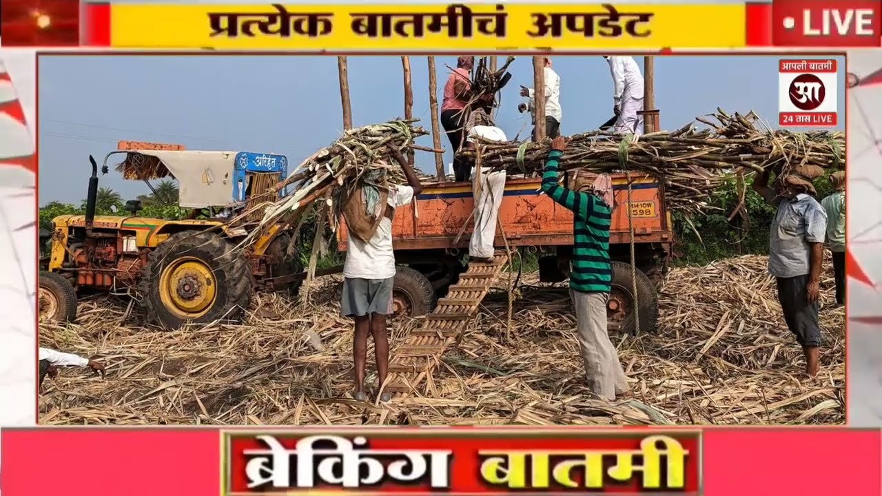 23 जानेवारी 2026 शेतकऱ्यांसाठी ठळक बातम्या | कर्जमाफी | कापूस भाव PM योजना,pik vima |NEWS HEADLINES