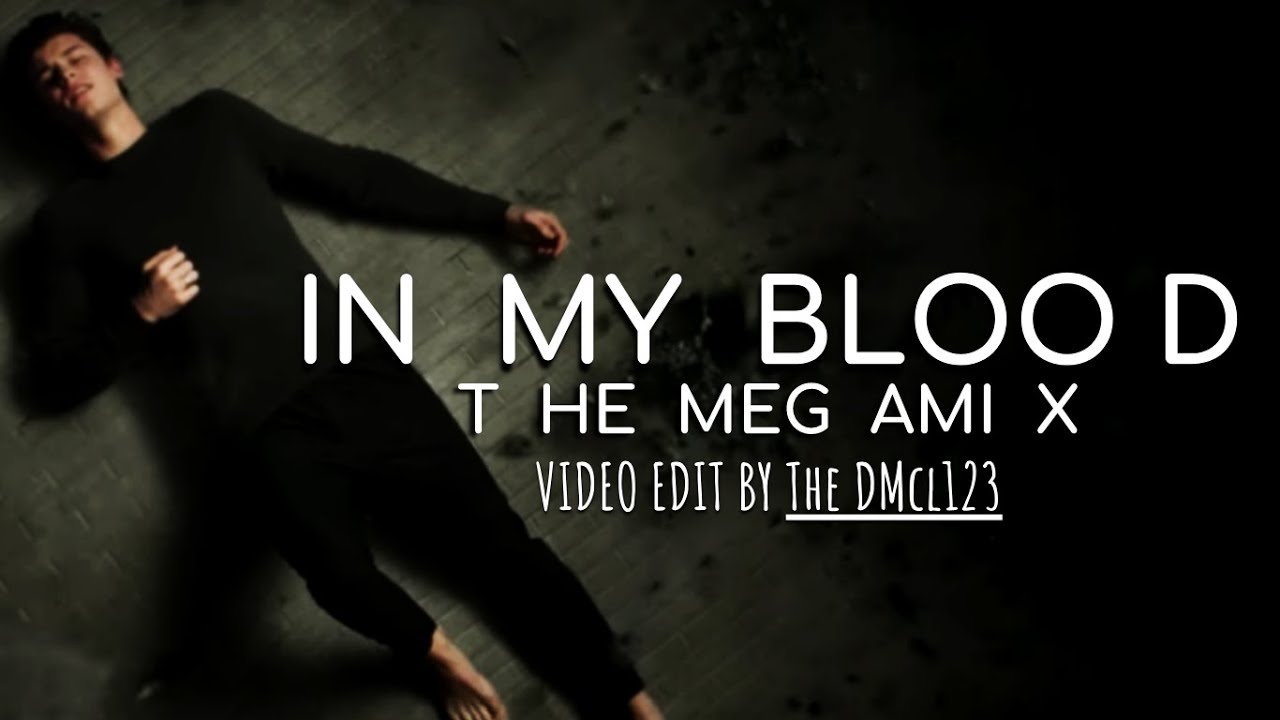 IN MY BLOOD - Shawn M, Camila C, Maroon 5 & More (Megamix By Blanter Co - Video Edit By TheDMcI123)