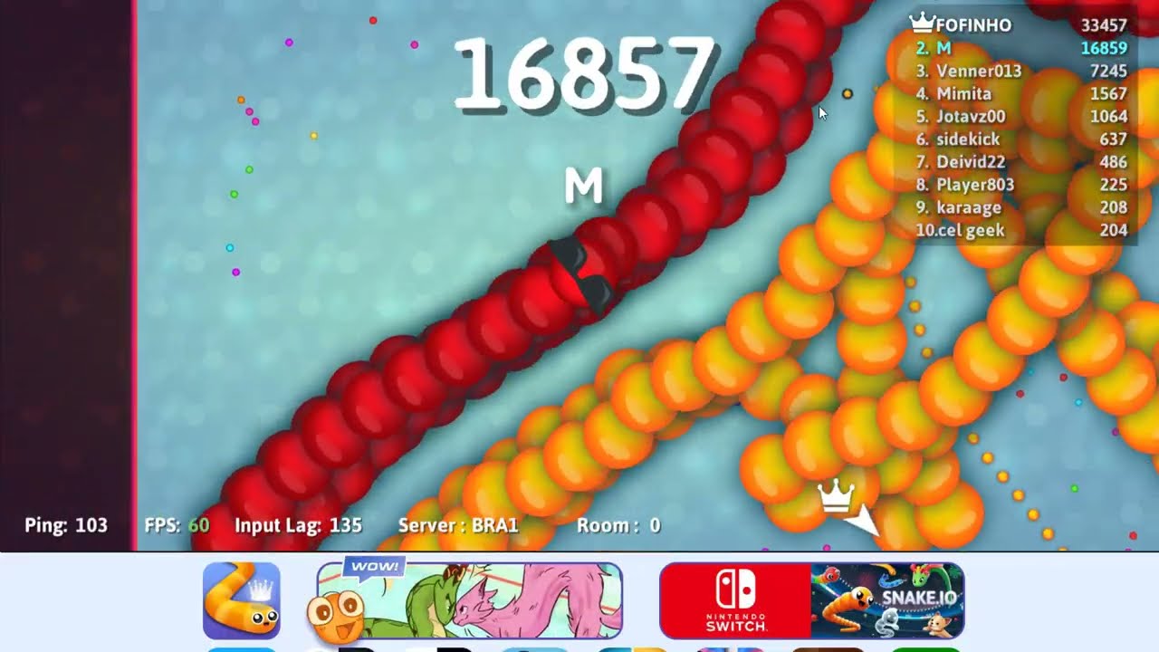 got a score of 24591 on snake.io in just 19 minutes 30 seconds