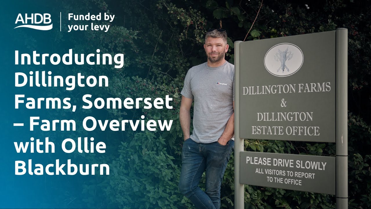 Introducing Dillington Farms, Somerset – Farm Overview with Ollie Blackburn