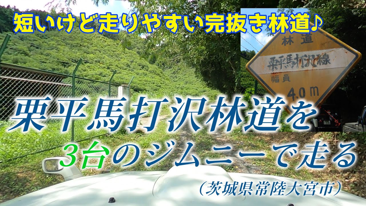 ジムニーで[茨城]栗平馬打沢林道を走る -フラットな砂利道で、森の中を走れるよ～！-