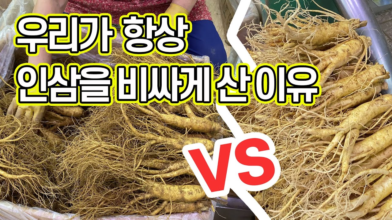 우리가 인삼을 비싸게 사는 이유 [금산수삼센타 현장스케치]