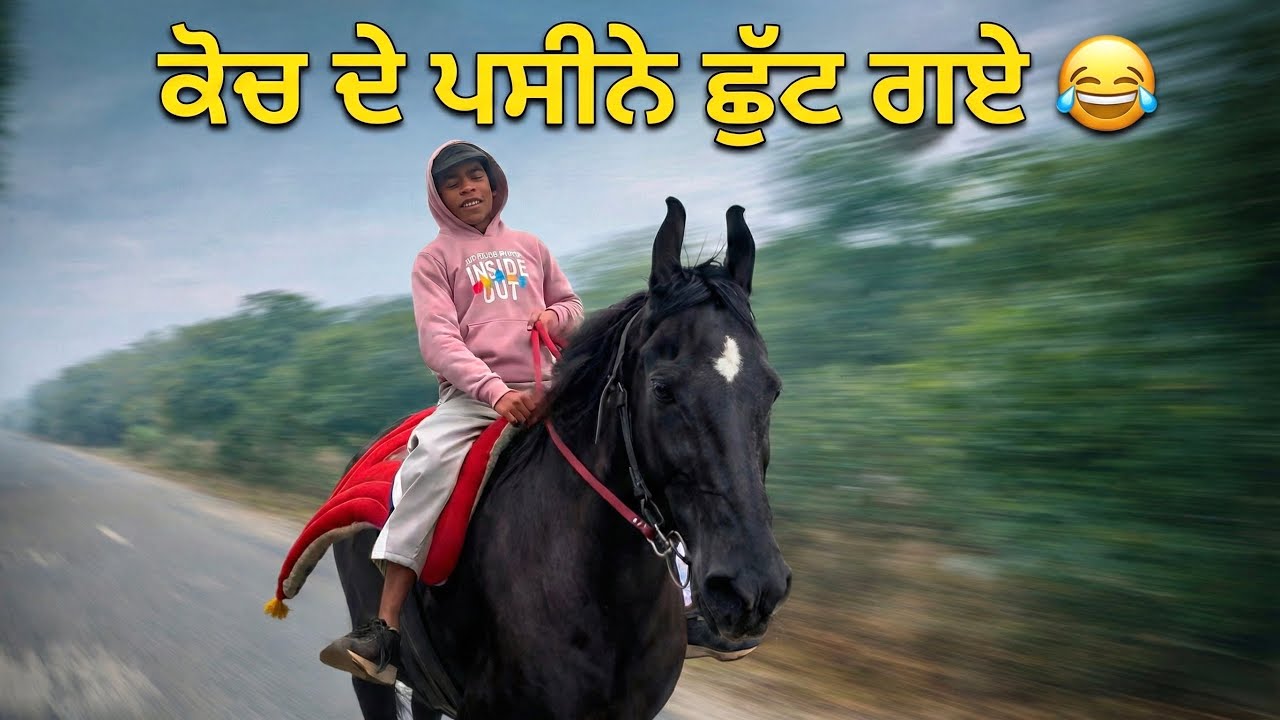 ਘੋੜੀ ਲੈ ਕੇ ਕਿੱਧਰ ਭੱਜ ਗਿਆ ਕੋਚ? 🏃‍♂️🐎 || sultandeepsingh