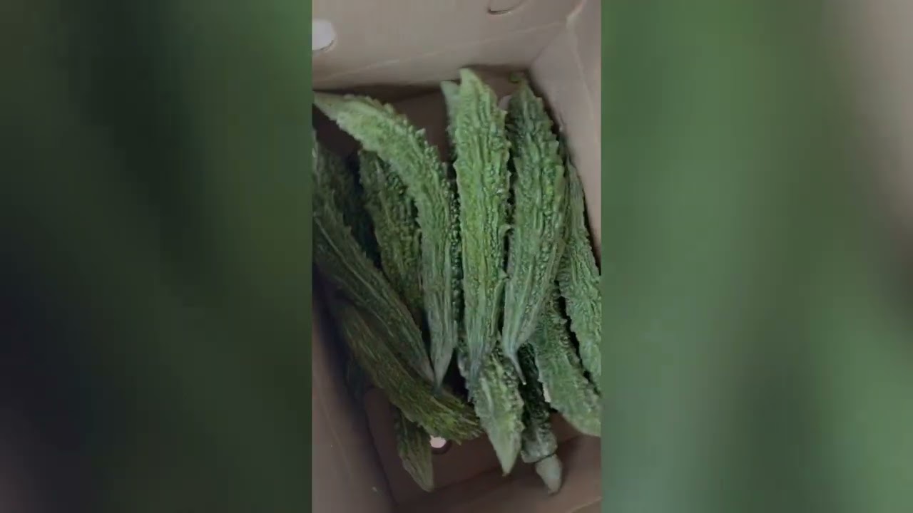 Vegetable quality and weight check!#export #import #india #vegetables #dubai #tamilnadu