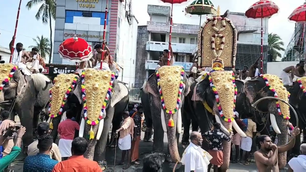 Kunnathurmedu Sri Krishna Jayanti 2022 morning procession 2022 ( Balamurali Trust)