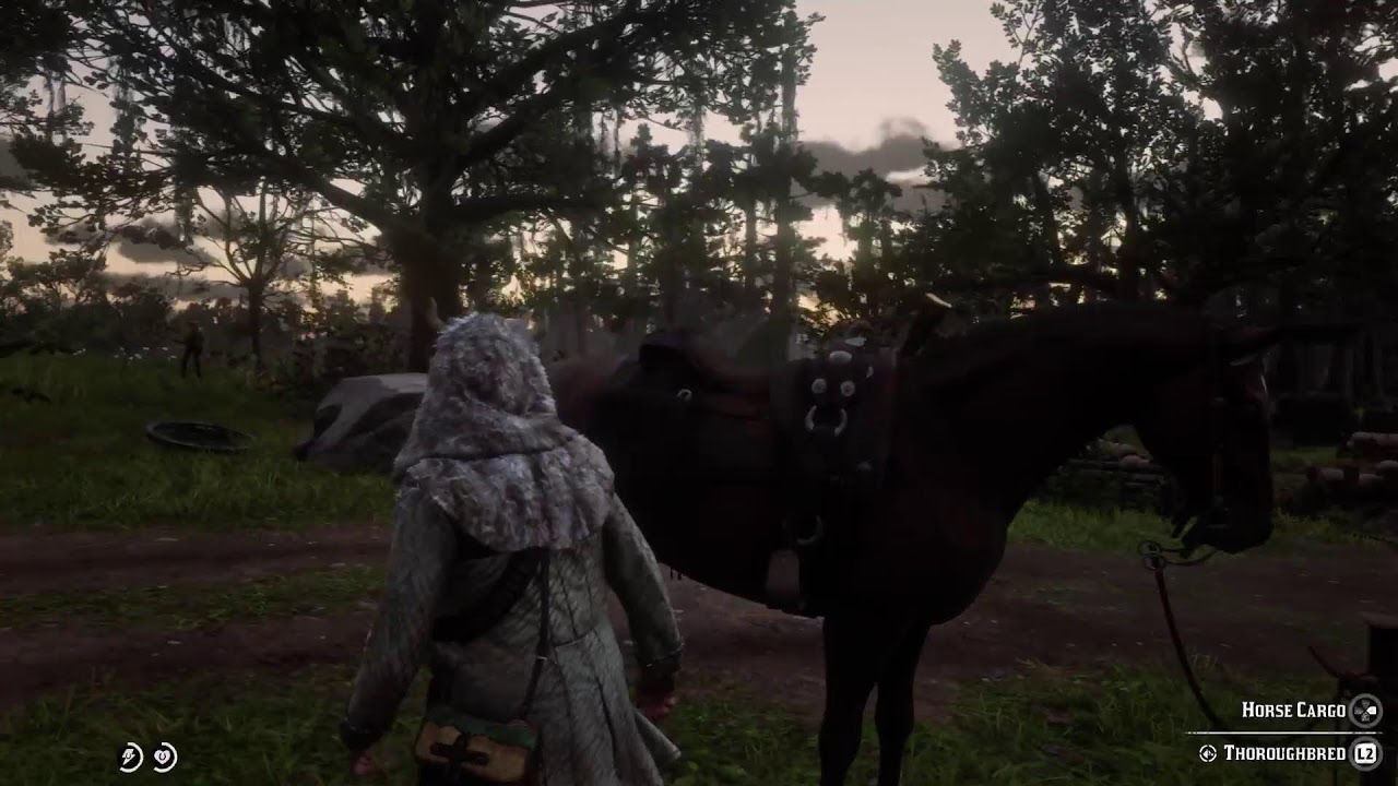 Red Dead Redemption 2 Chapter 4